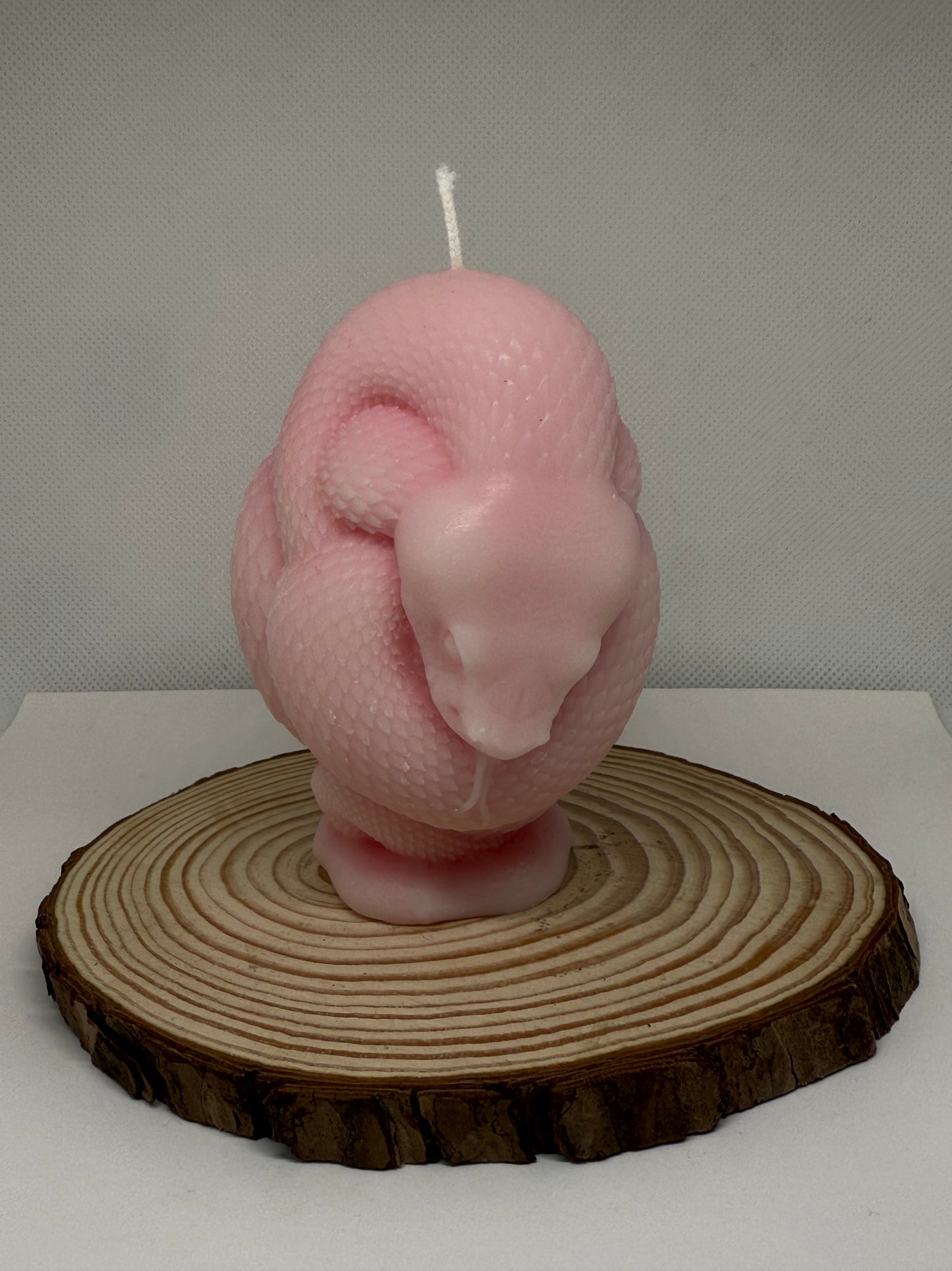 Snake Candle