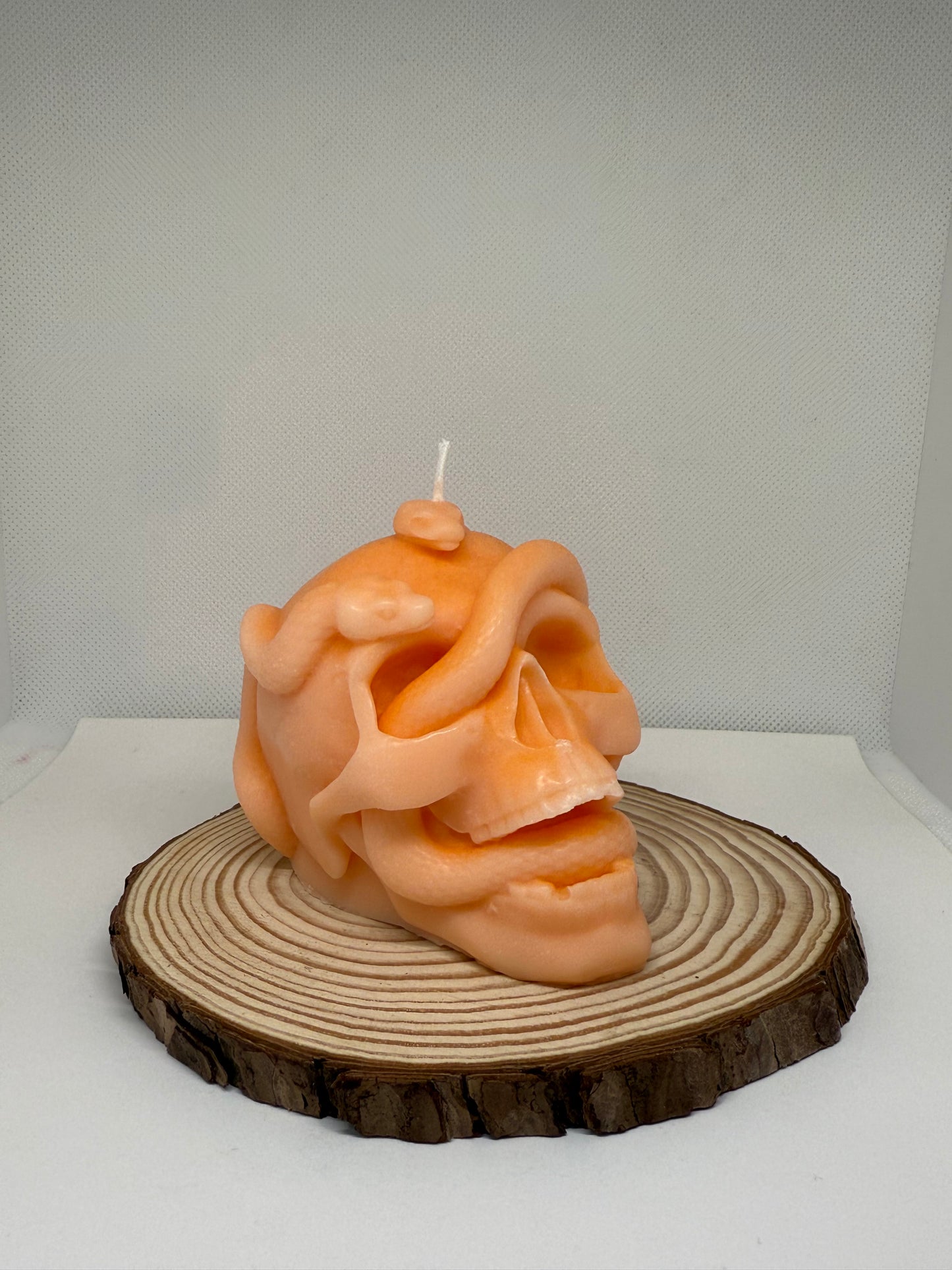 Skull Snake Candle