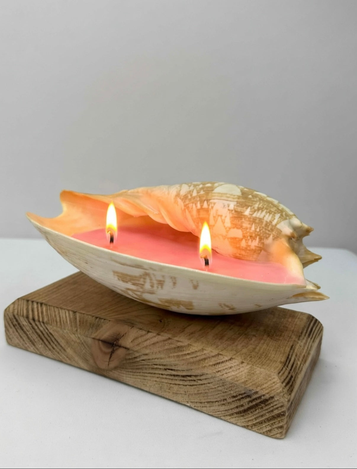 Small Real Sea Shell Candle – Ocean Inspired
