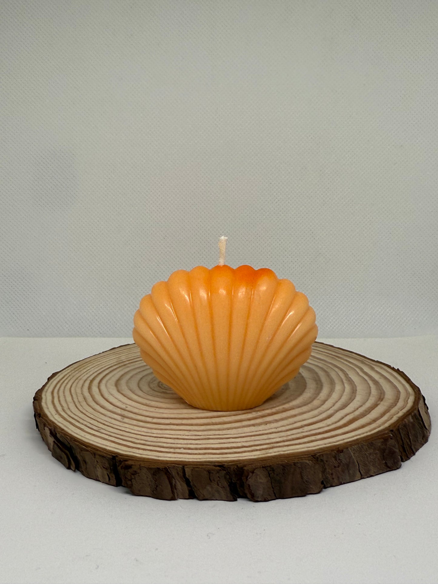 Shell Candle