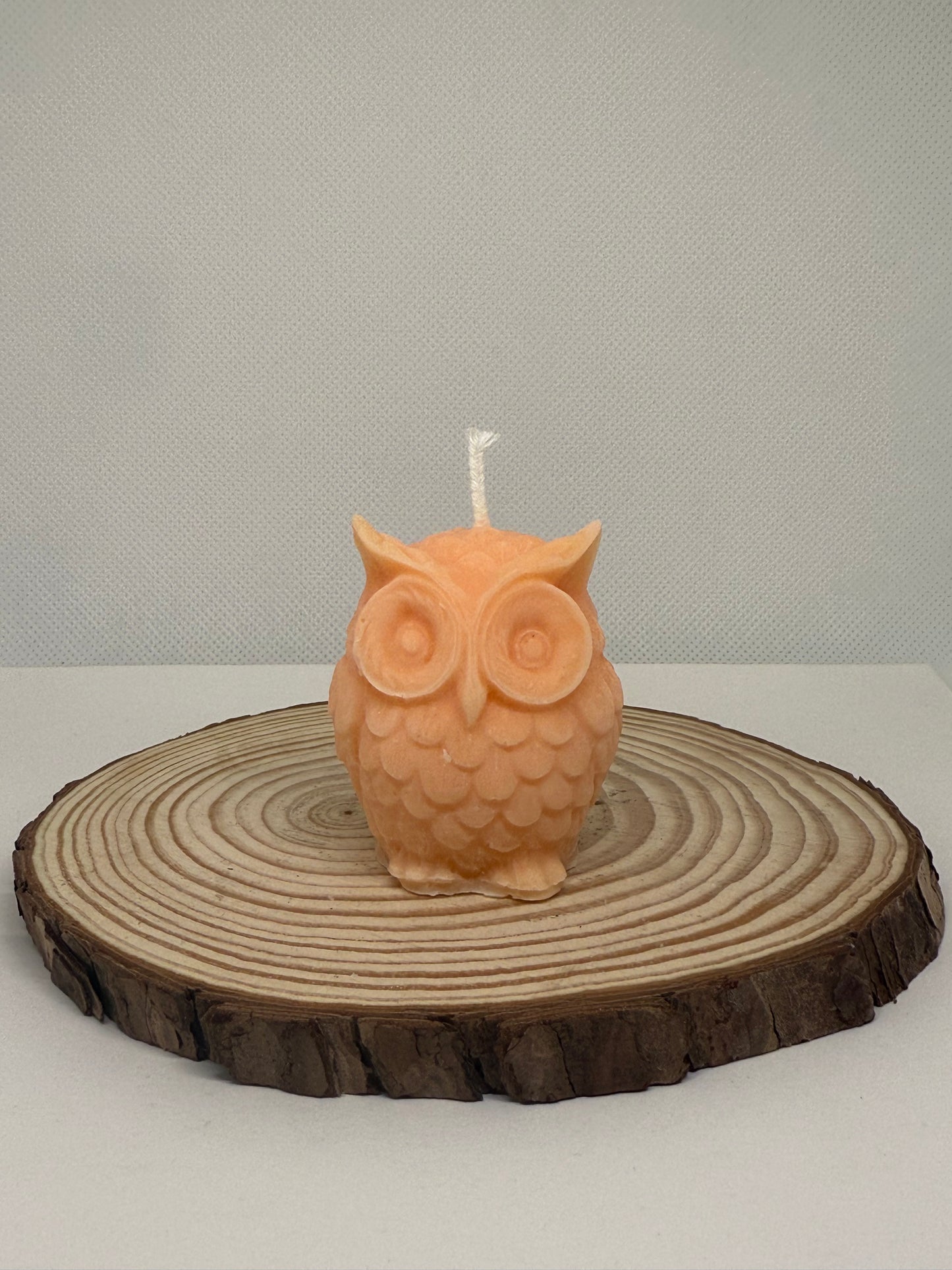 Little Owl Candle