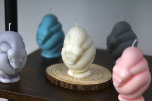 Snake Candle