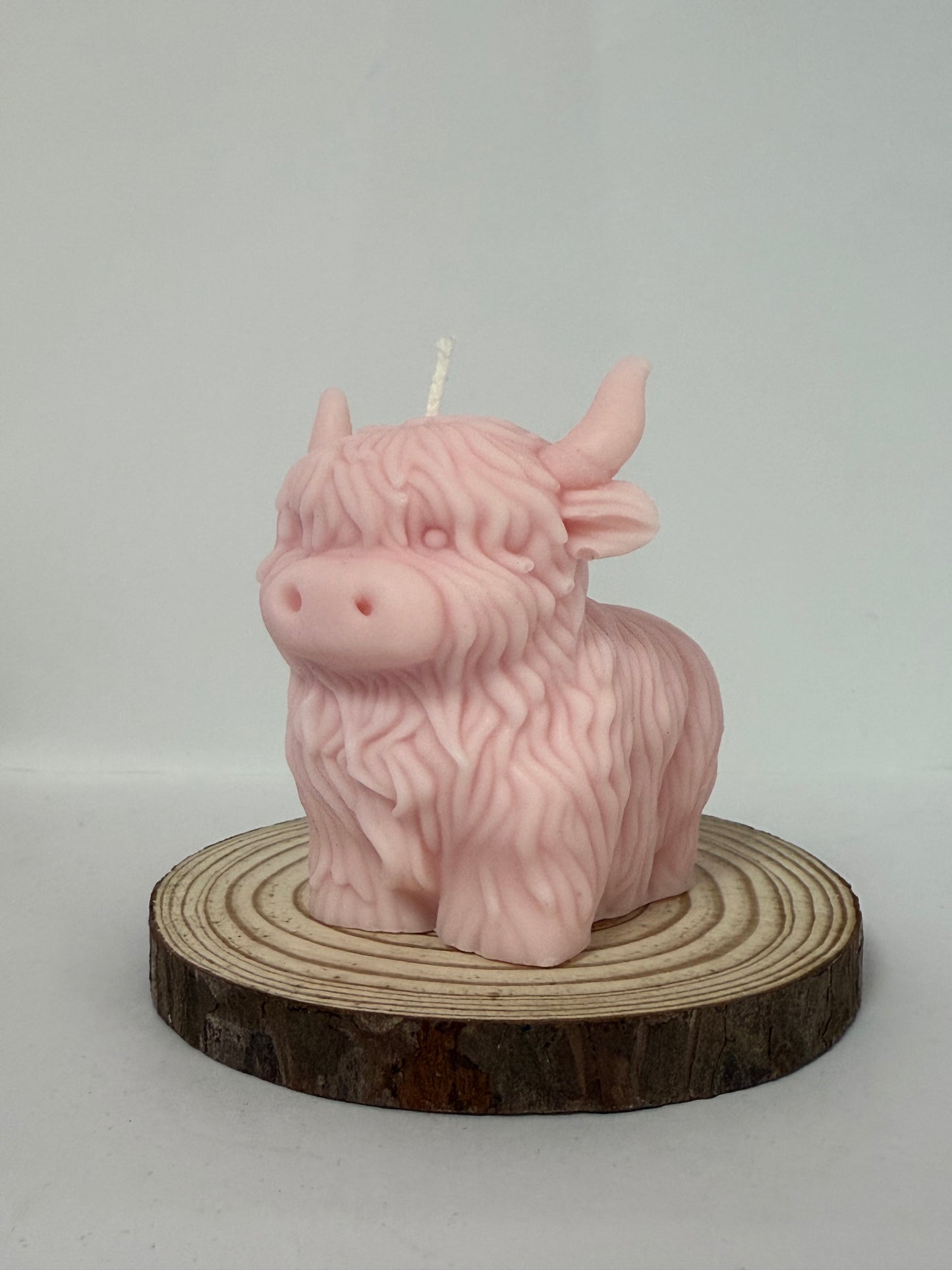 HighLand Cow Candle