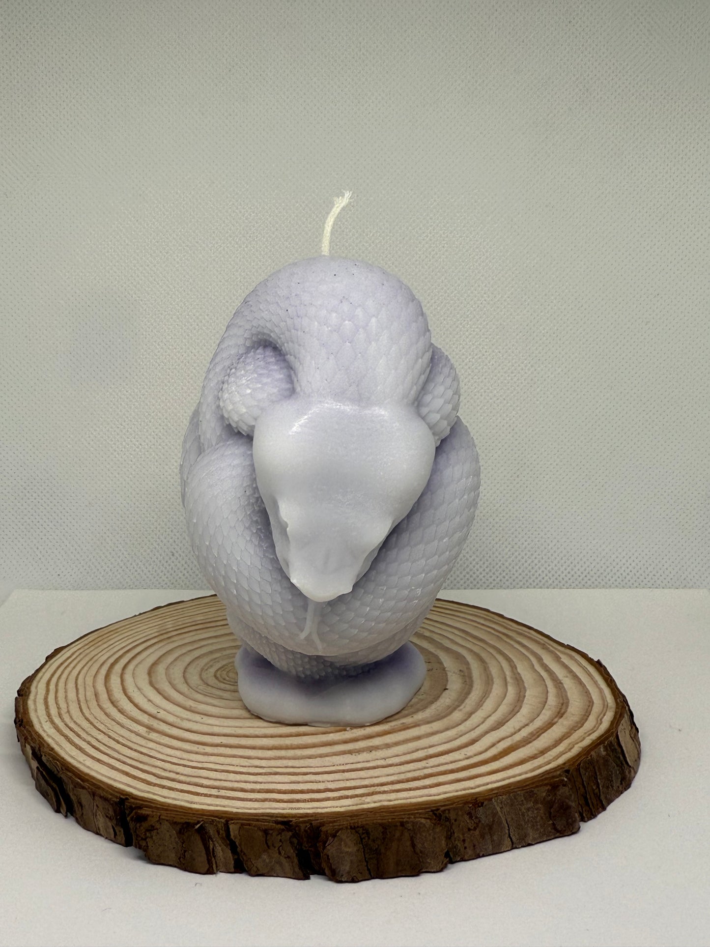 Snake Candle