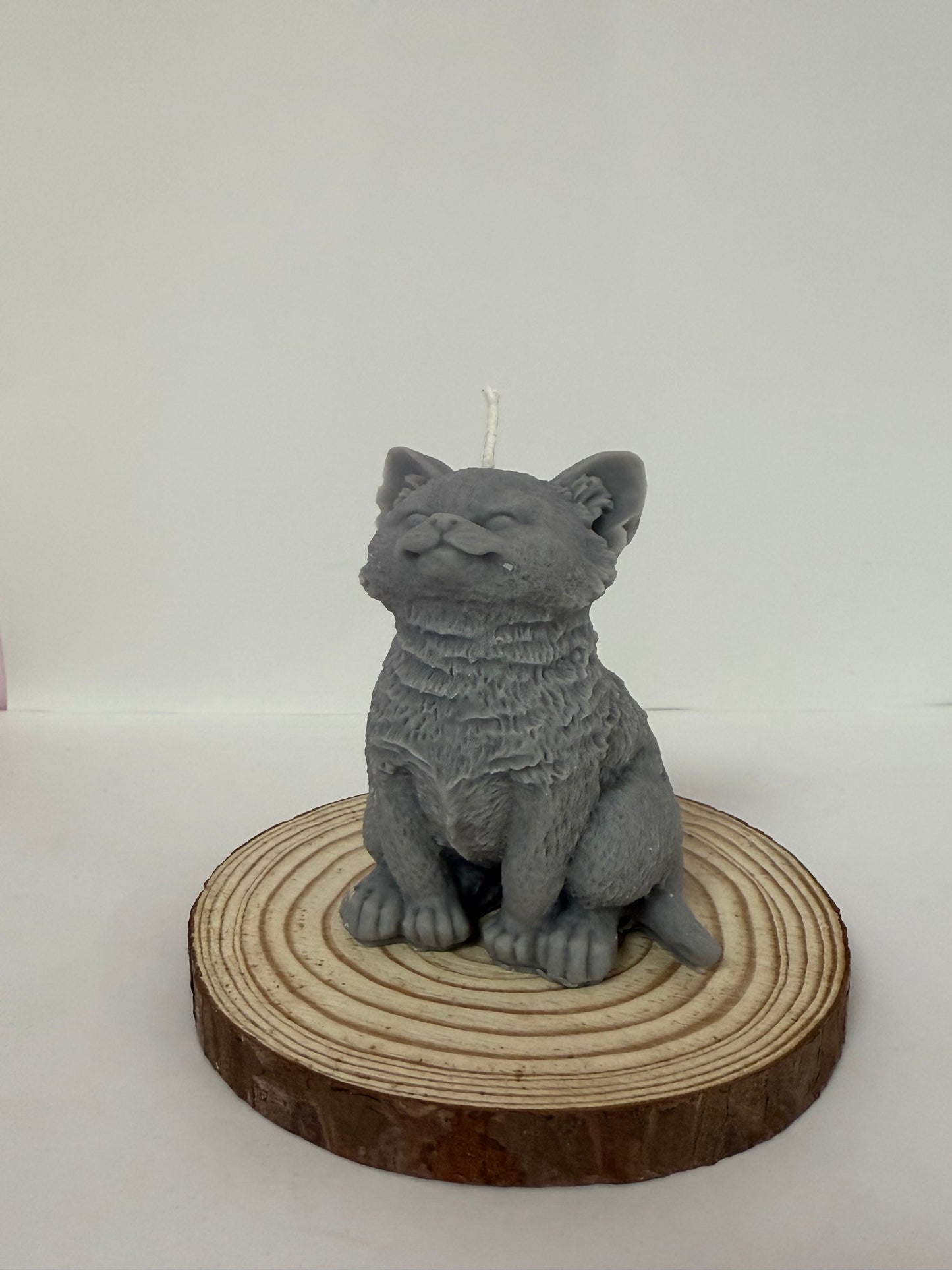 Cat Candle