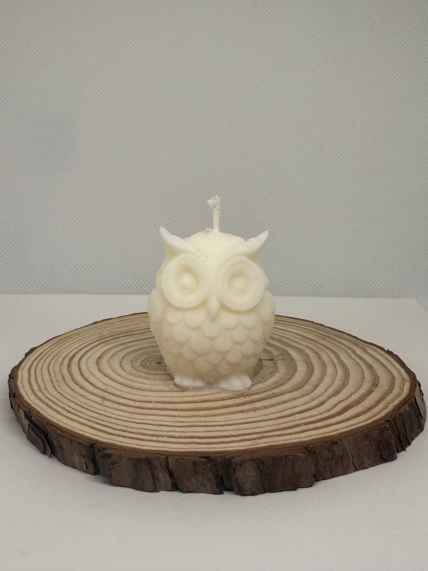 Little Owl Candle