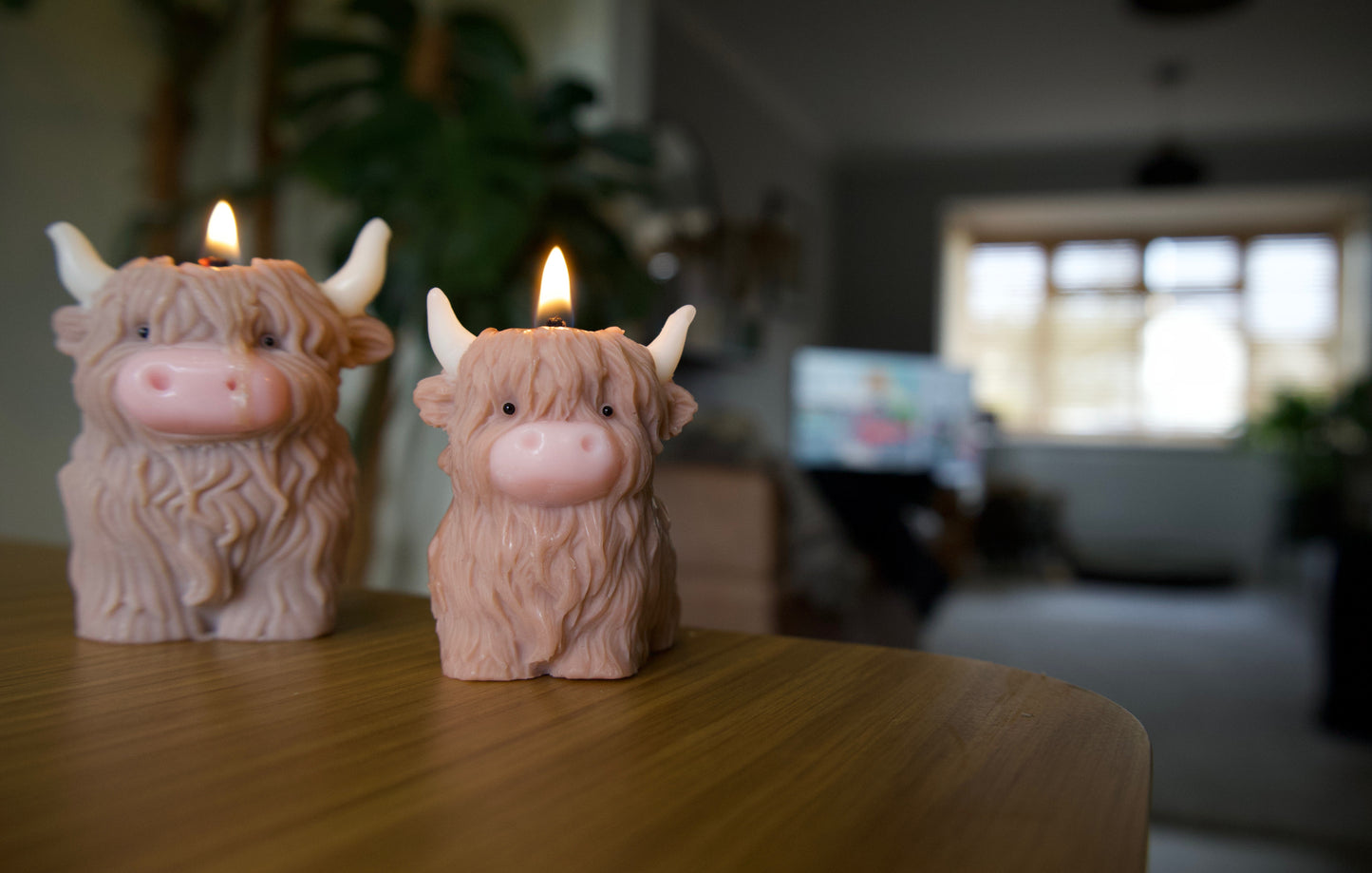 Highland Cow Candle