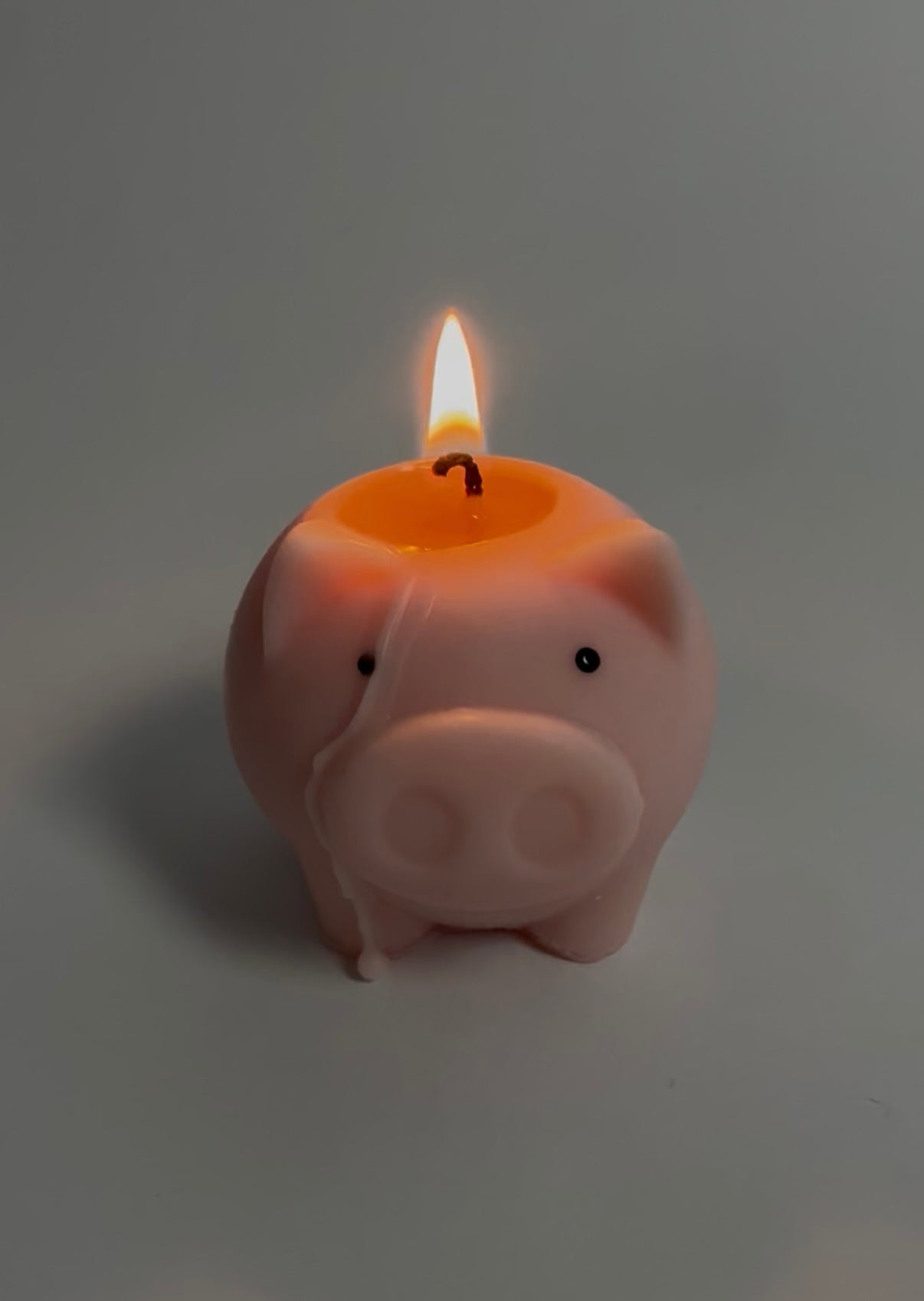 Pig Candle