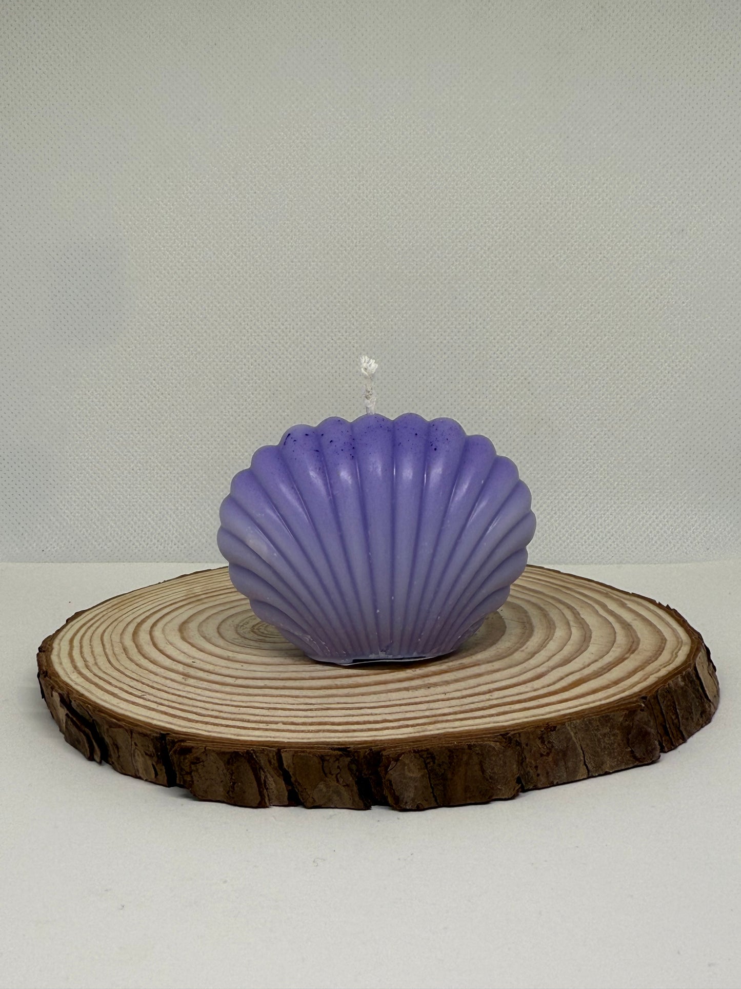 Shell Candle