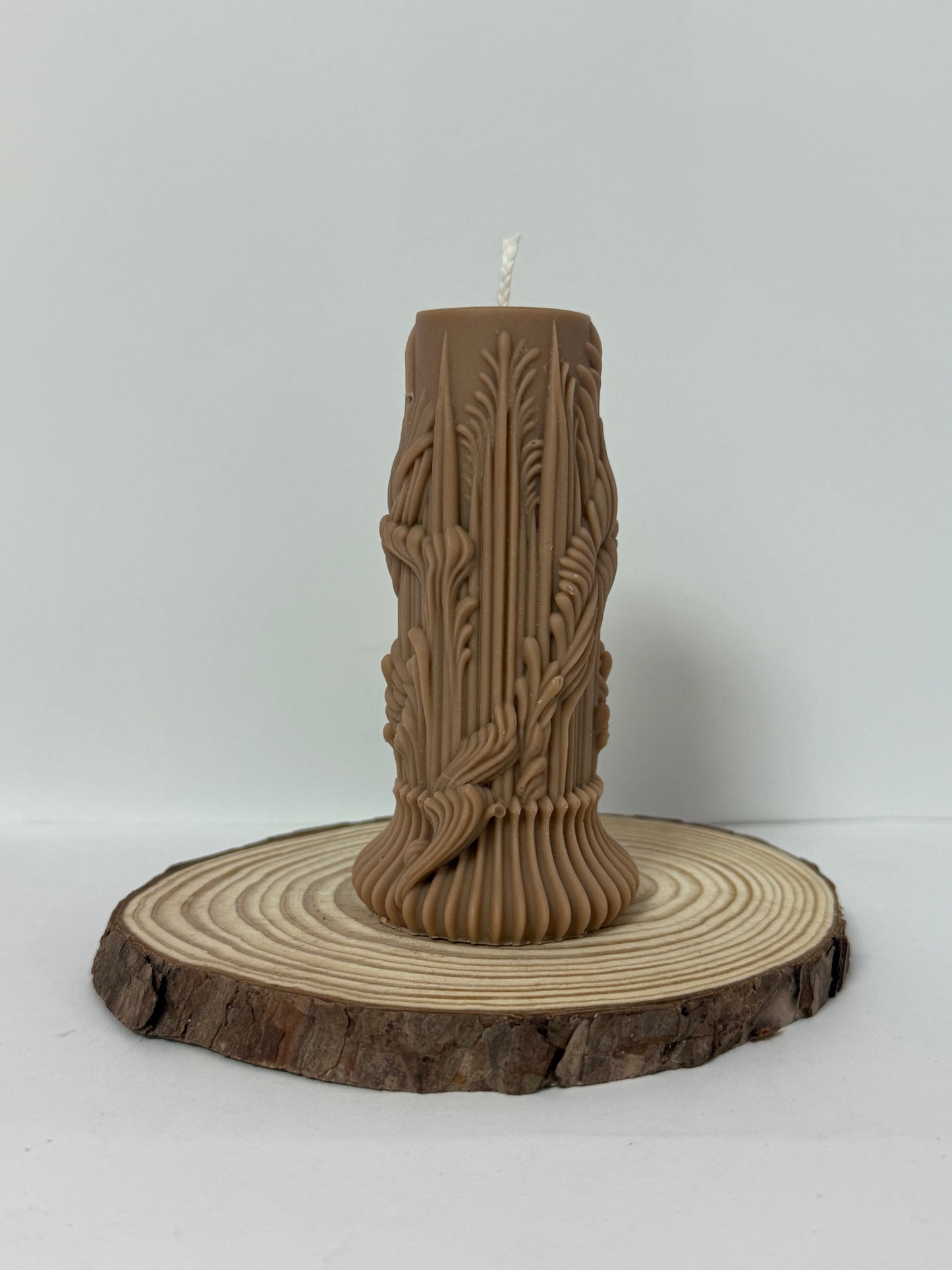 Tree Stump