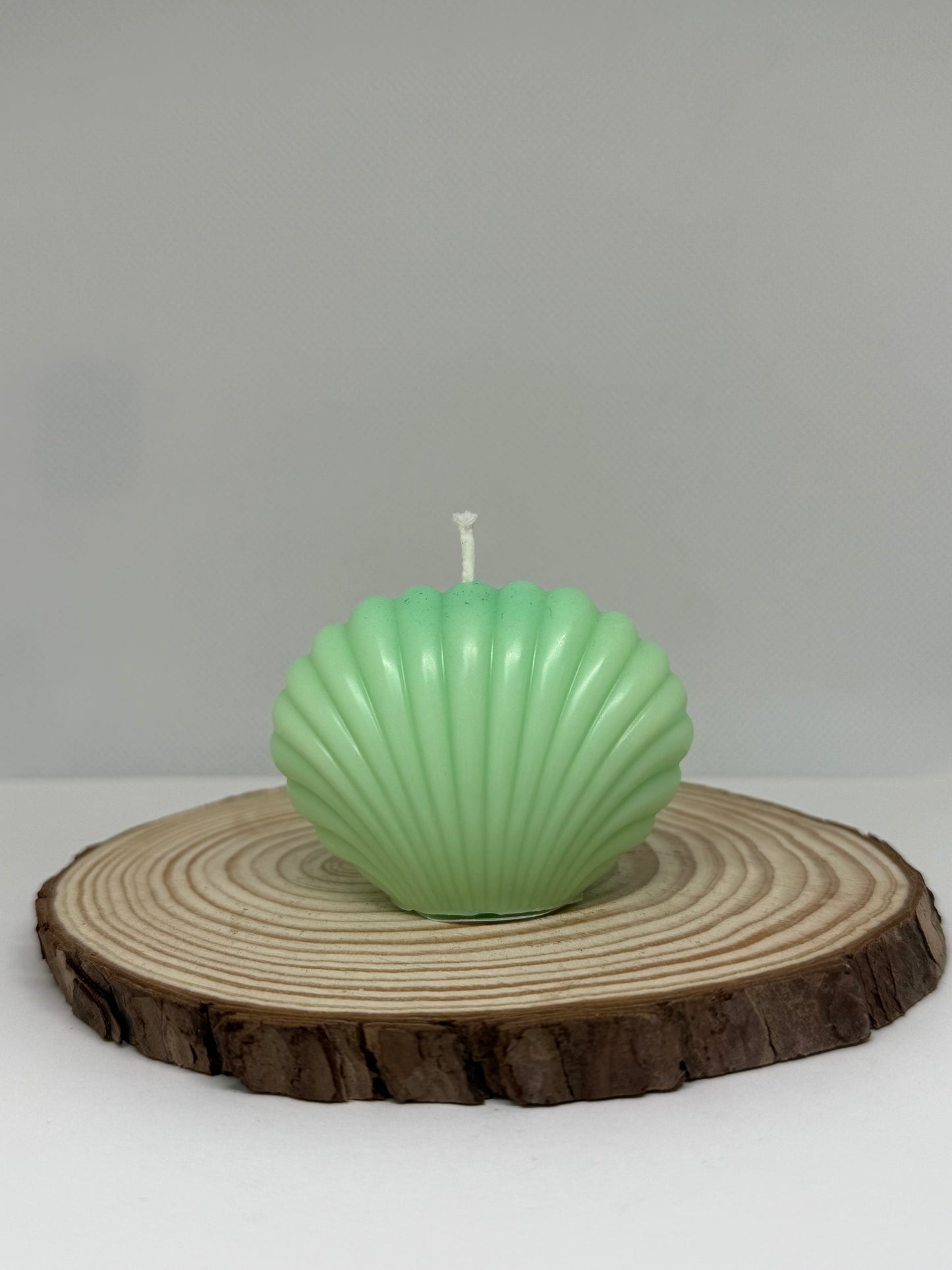 Shell Candle