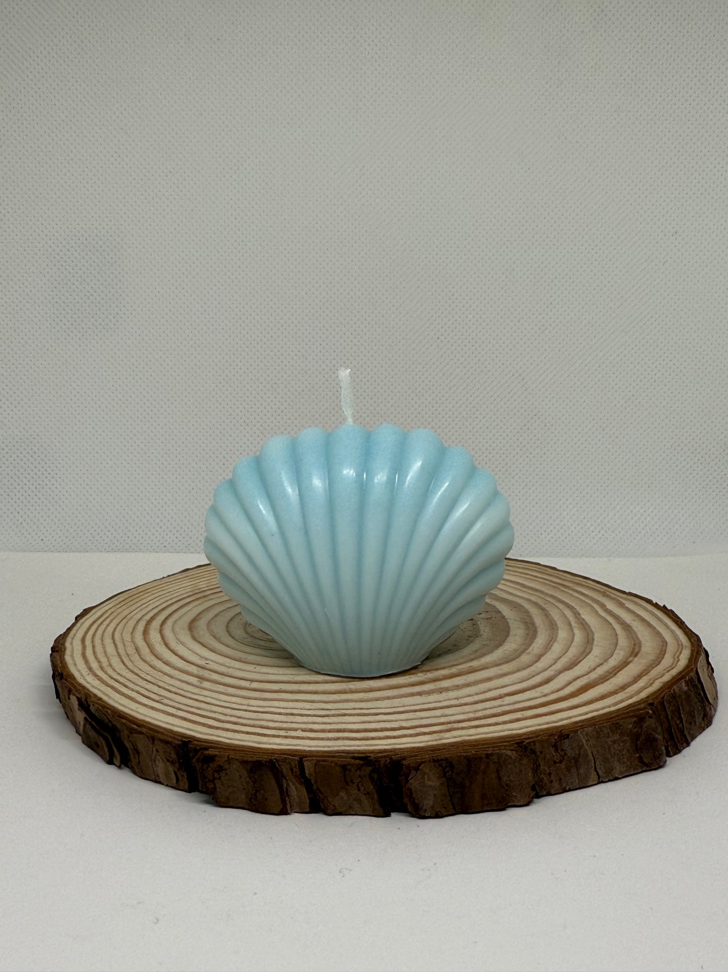 Shell Candle