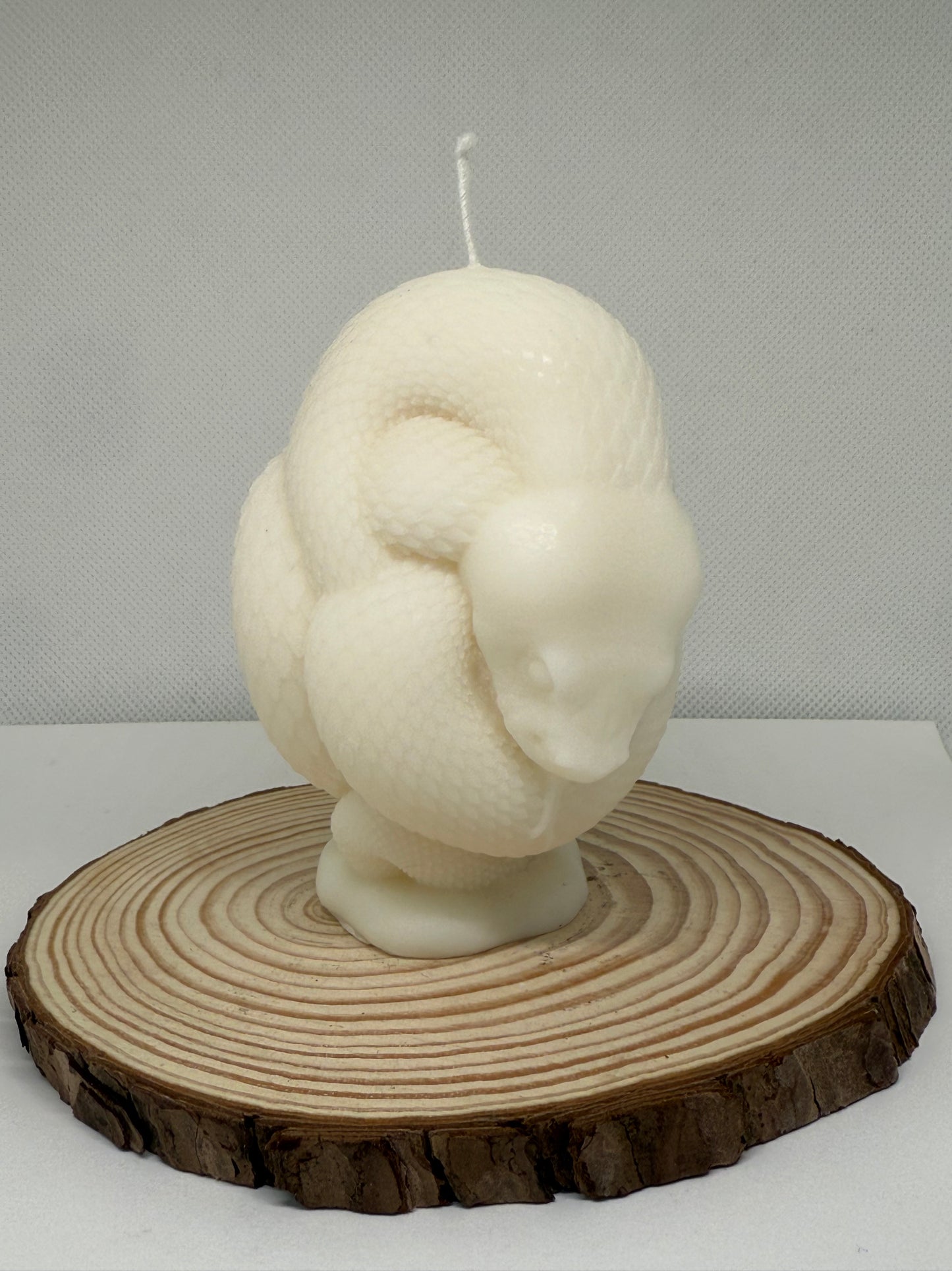 Snake Candle