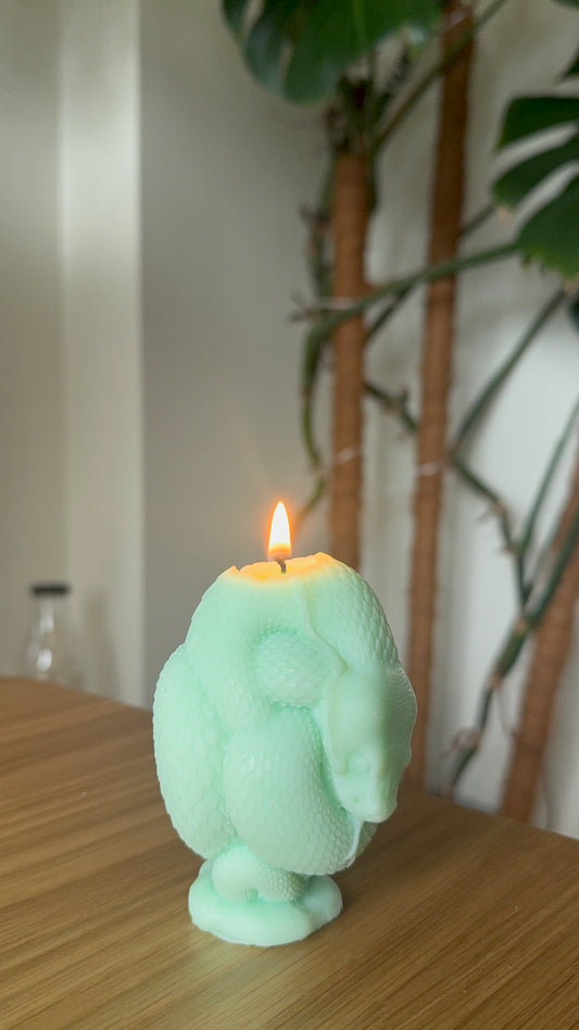 Snake Candle Candle