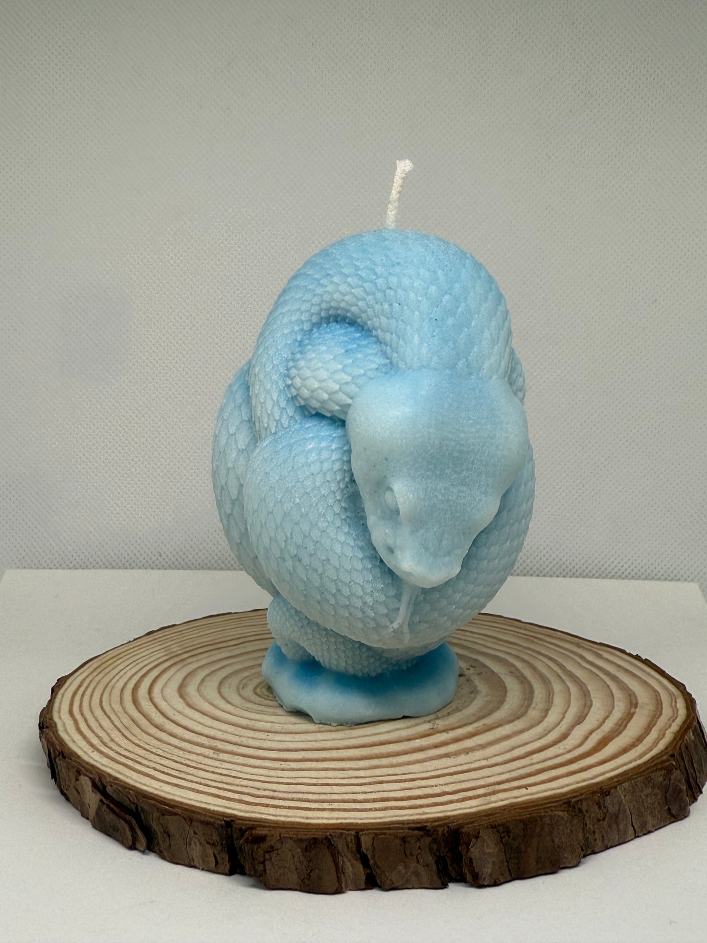 Snake Candle