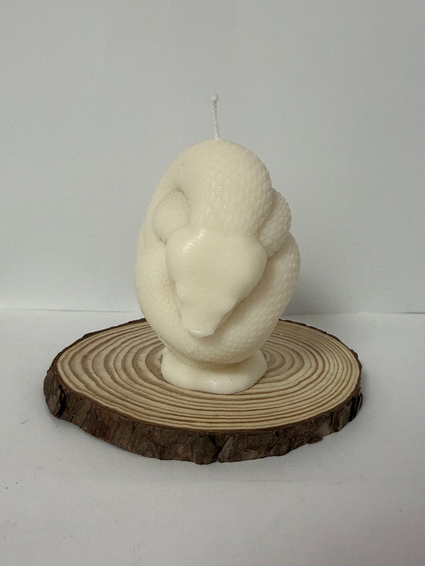 Snake Candle