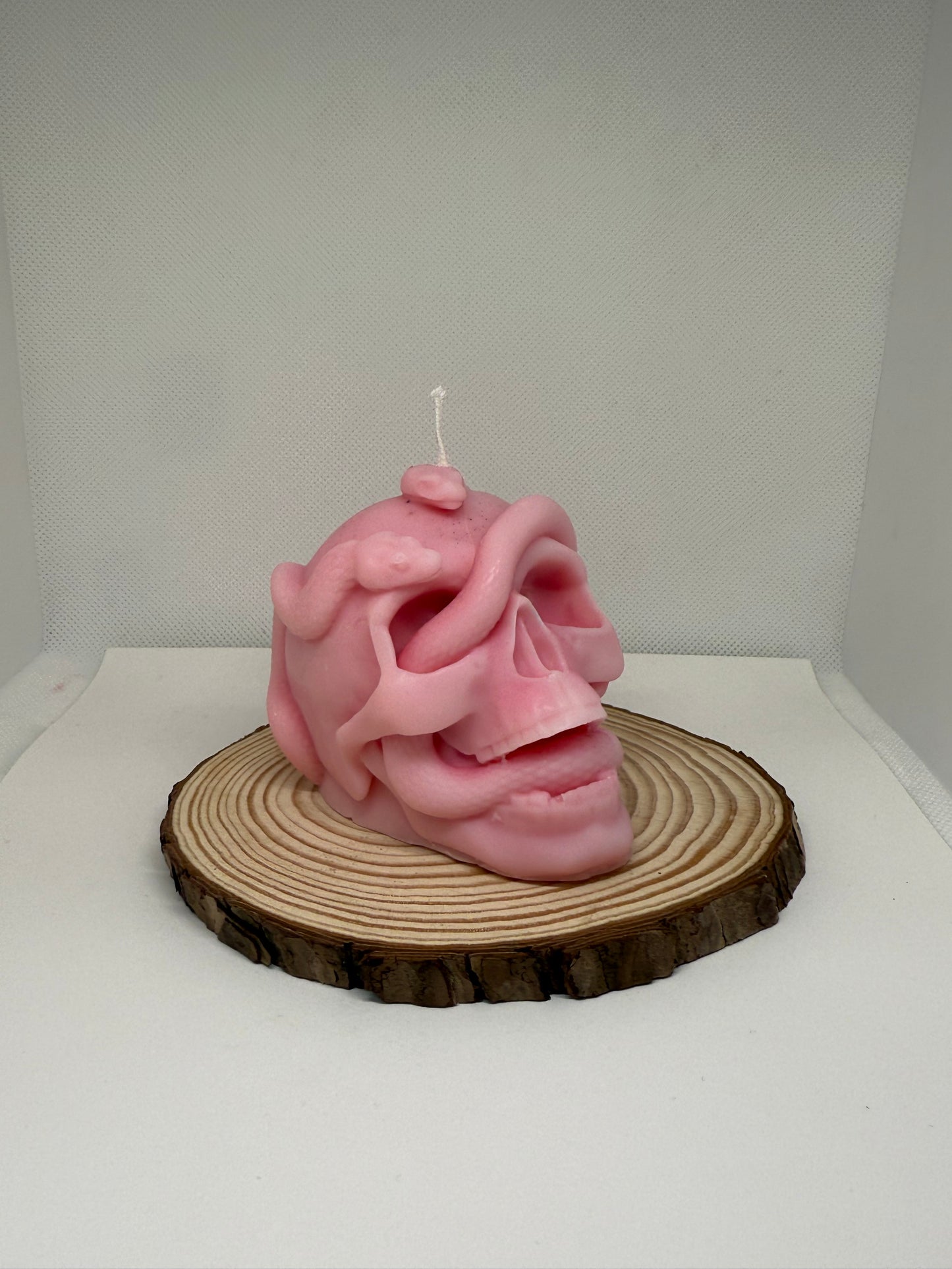 Skull Snake Candle