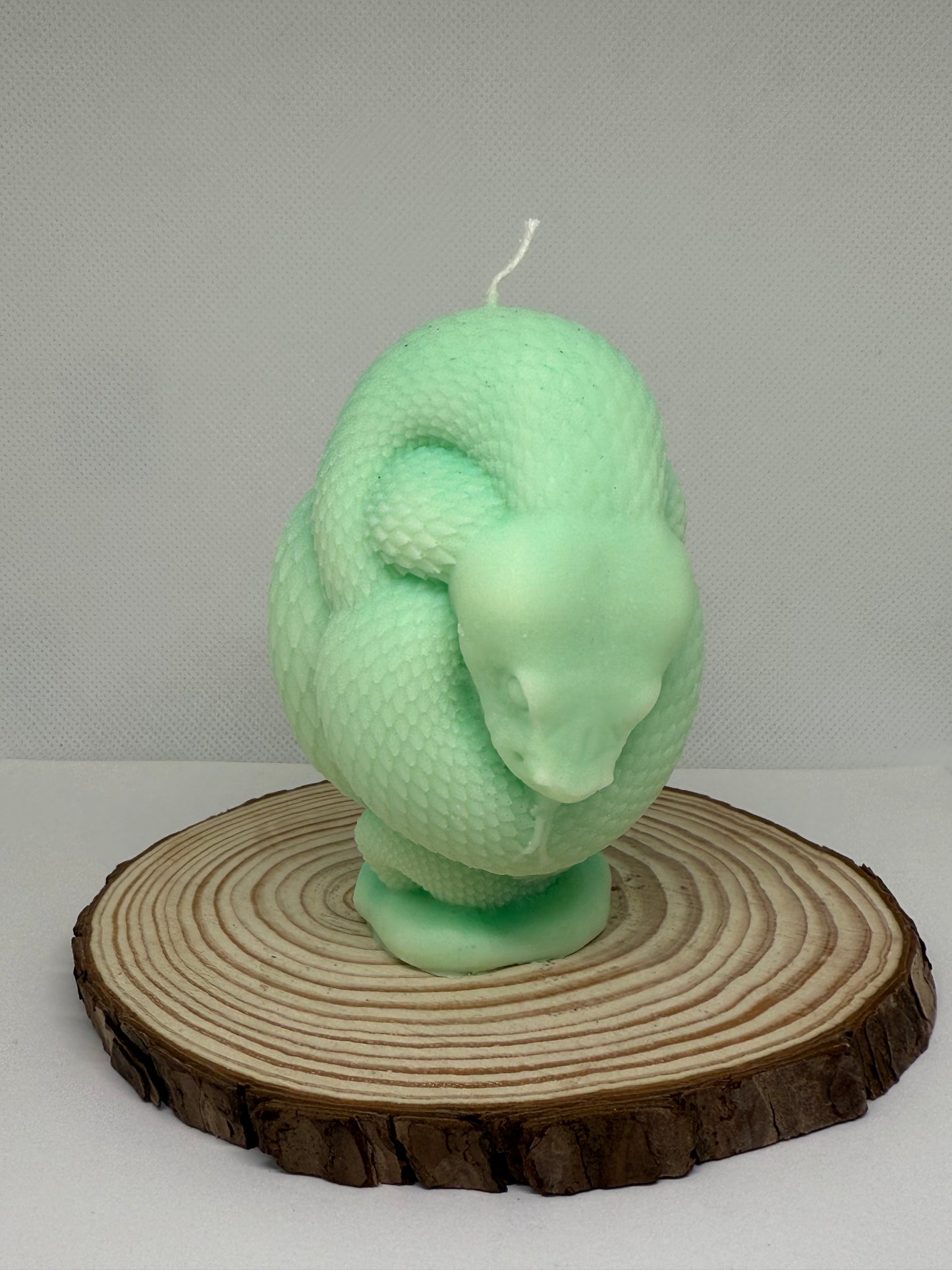Snake Candle