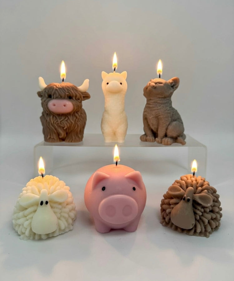 Animal Candle Collection