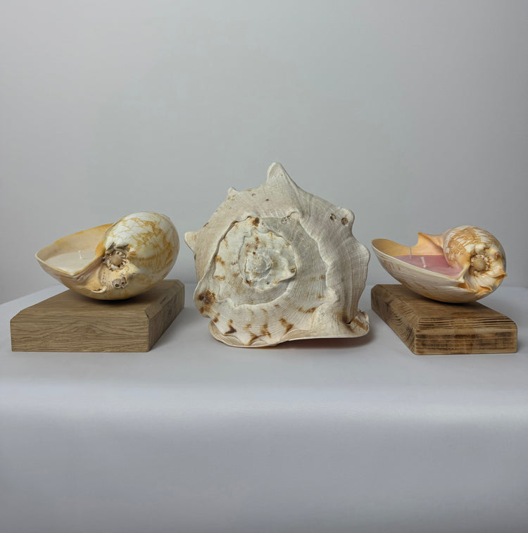 Coastal Living & Seaside Gifts