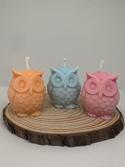 Owl Candle Gift Set