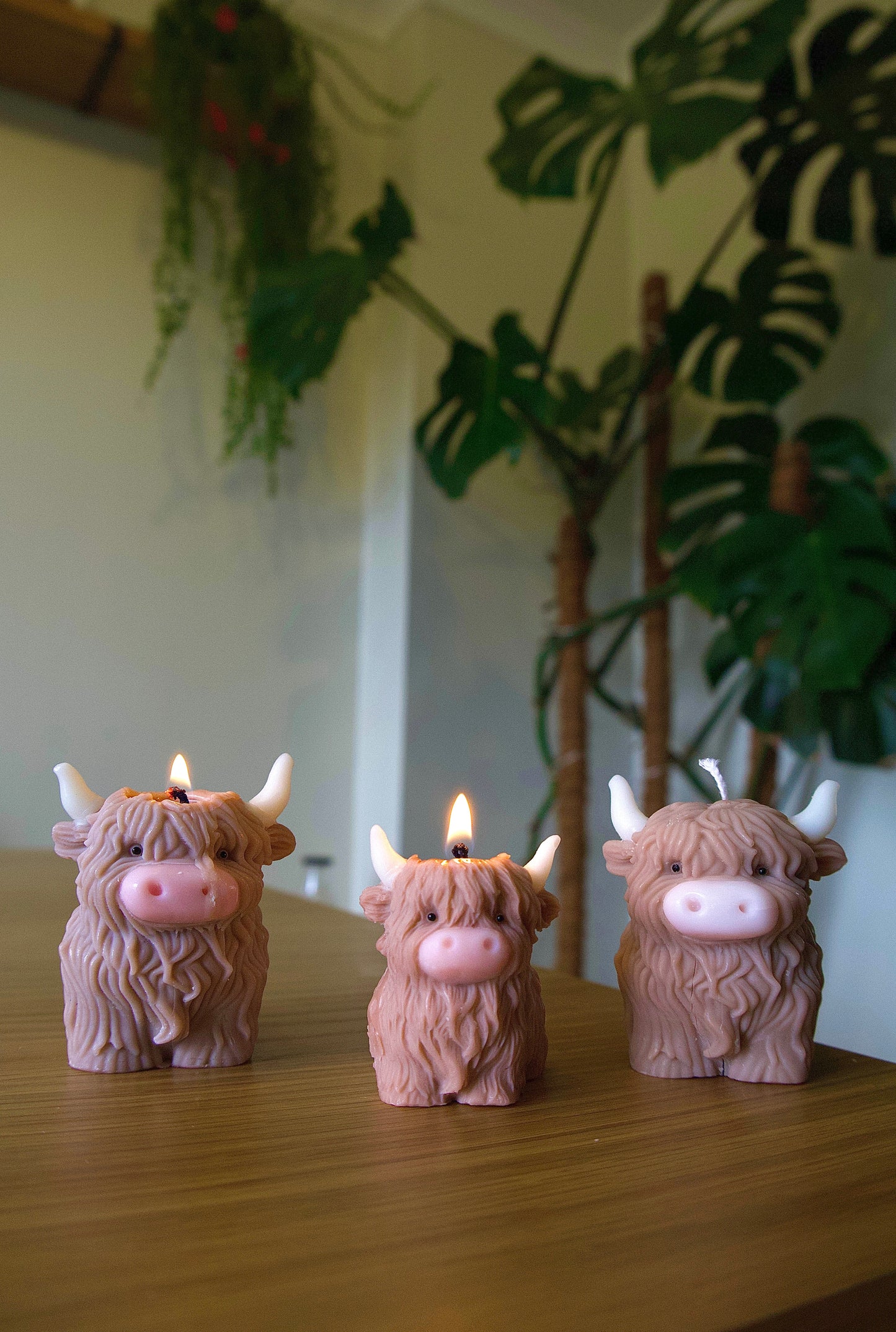 Highland Cow Candle