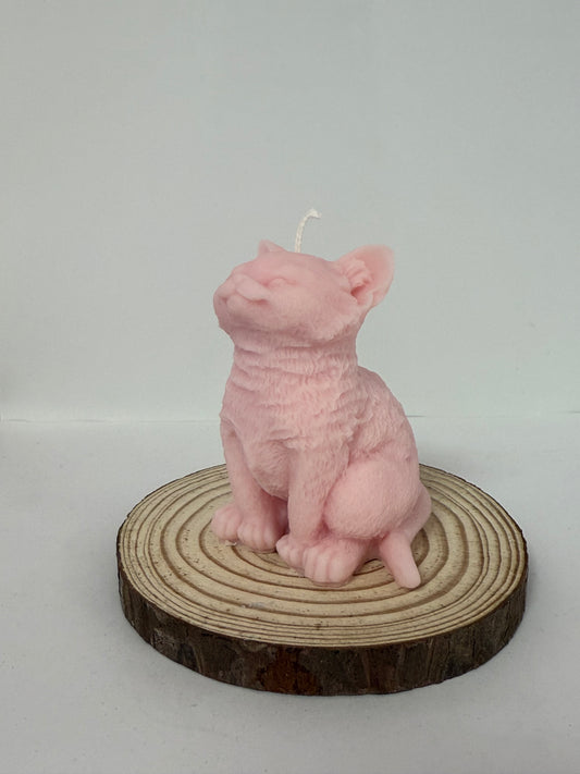 Cat Candle