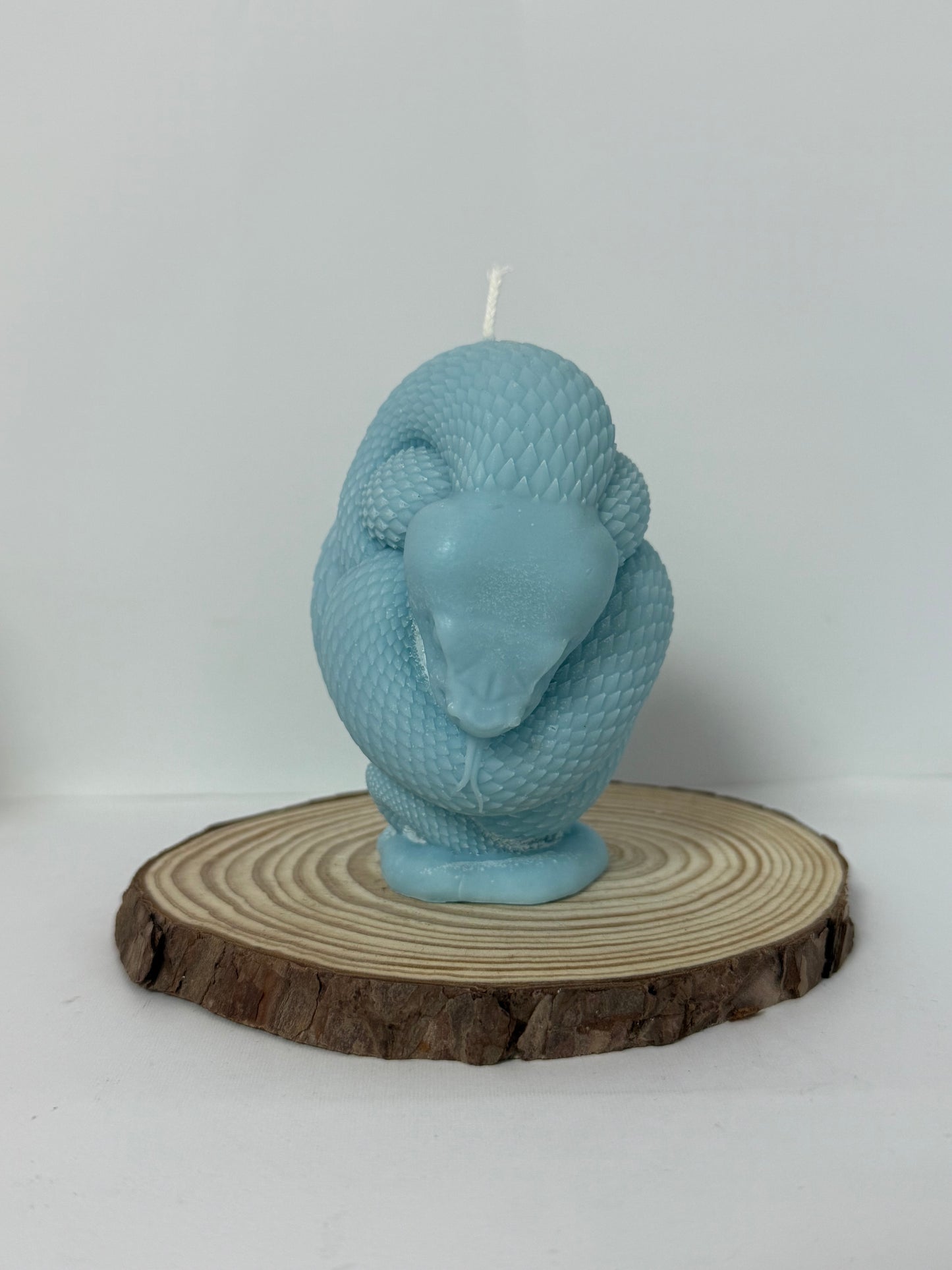 Snake Candle