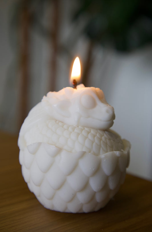 Dragon in a Shell Candle