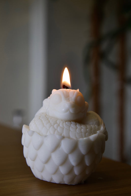 Dragon in a Shell Candle