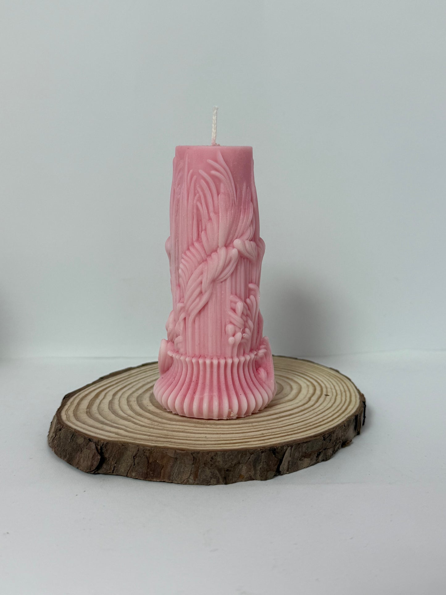 Tree Stump