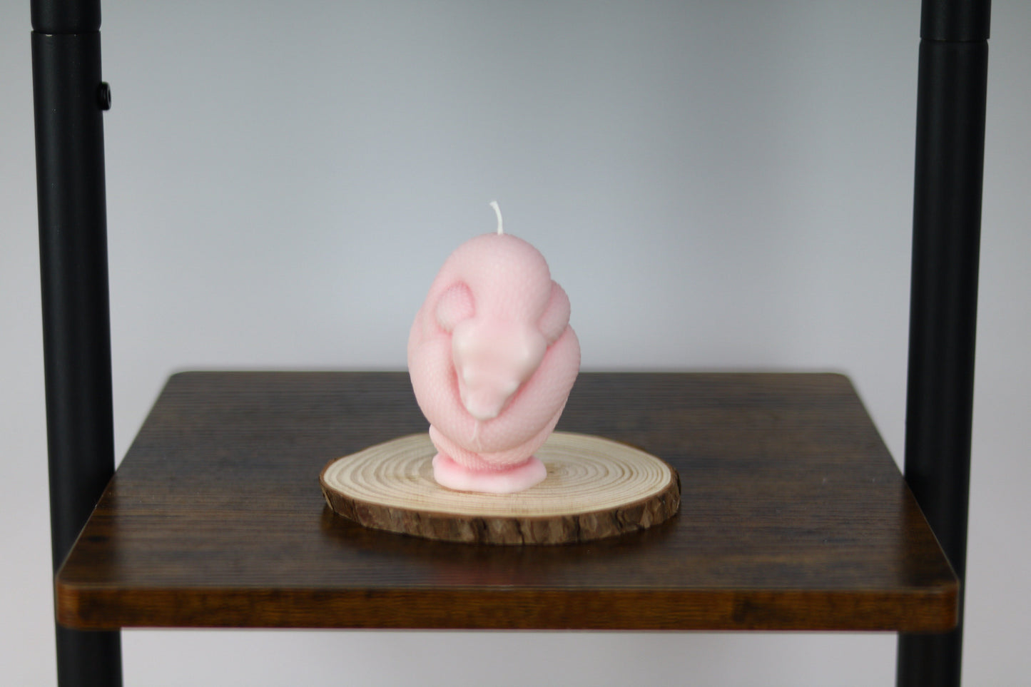 Snake Candle