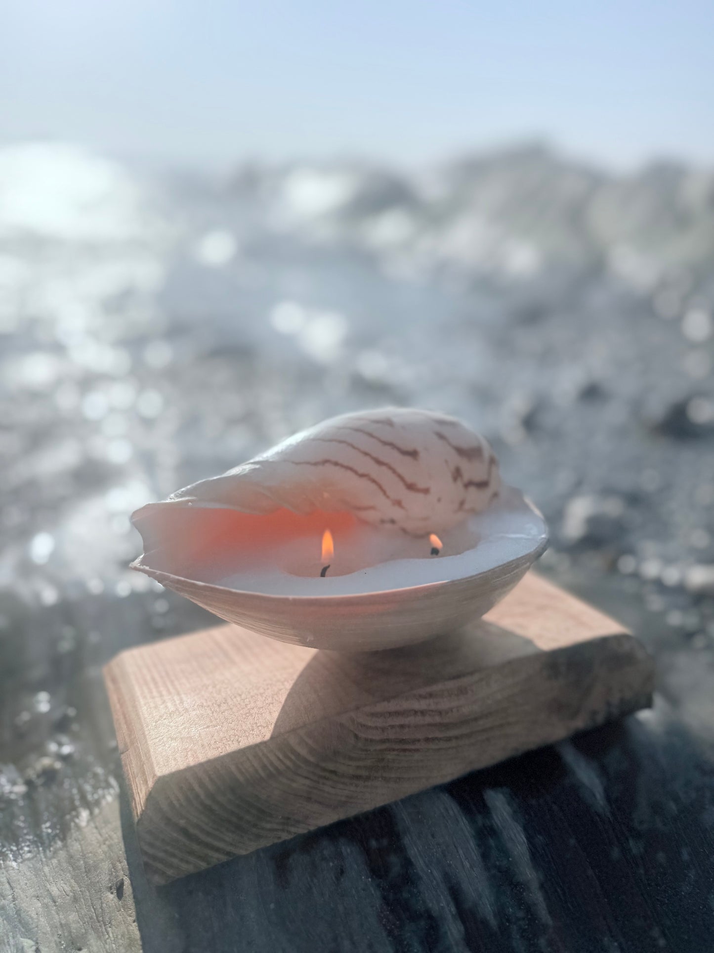 Small Sea Shell Candle