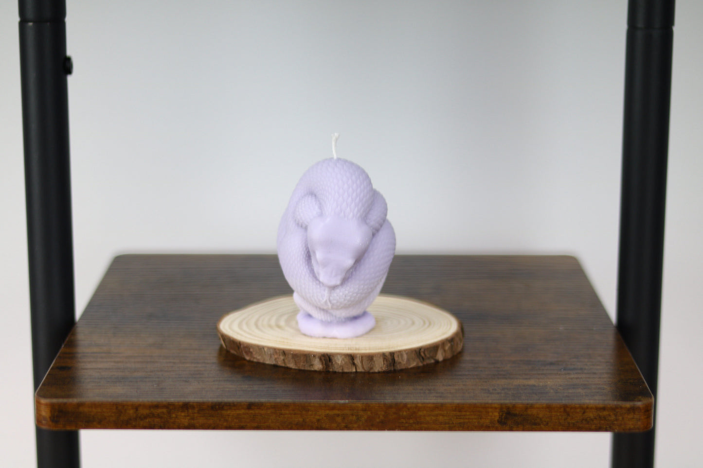 Snake Candle