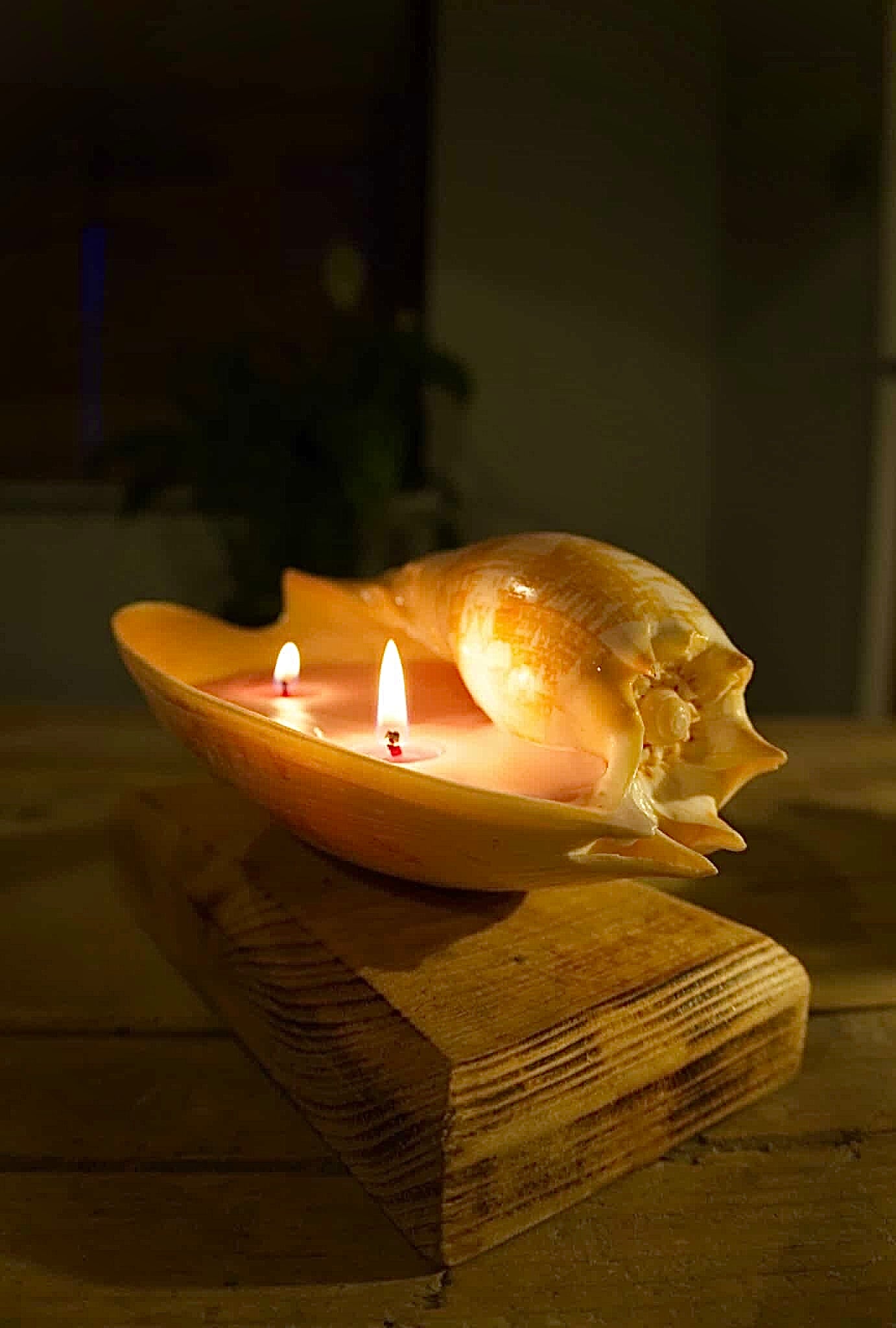 Small Real Sea Shell Candle – Ocean Inspired