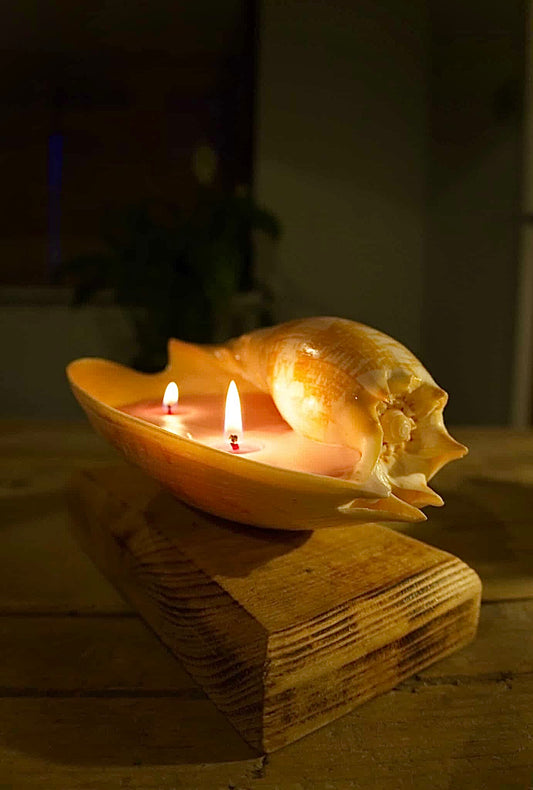 Small Real Sea Shell Candle – Ocean Inspired