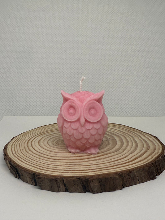 Little Owl Candle