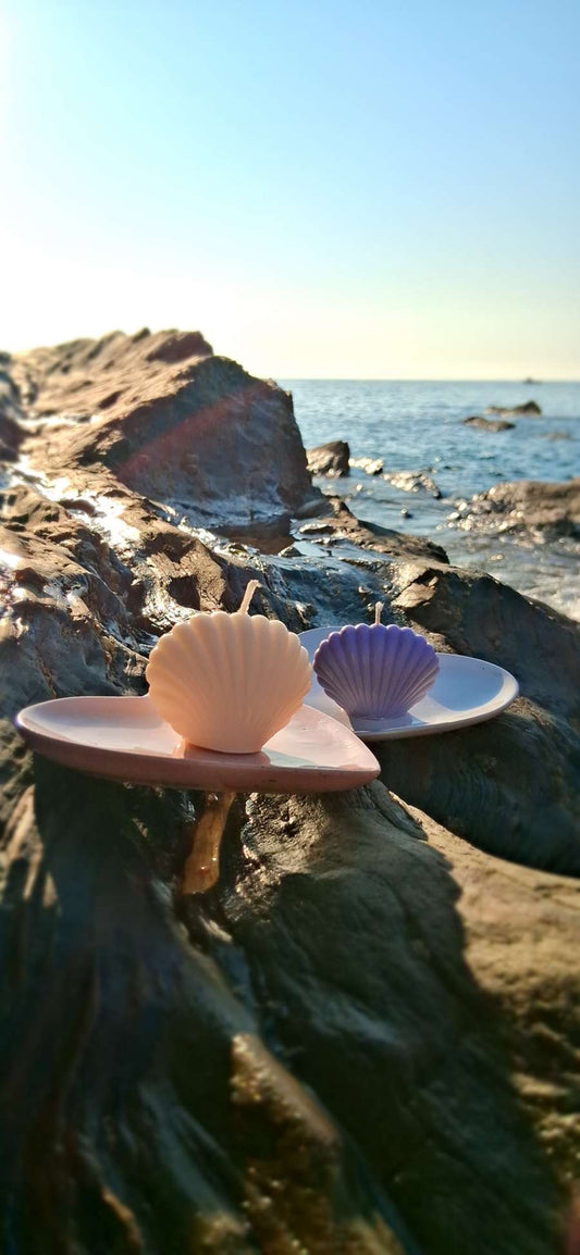 Shell Candle