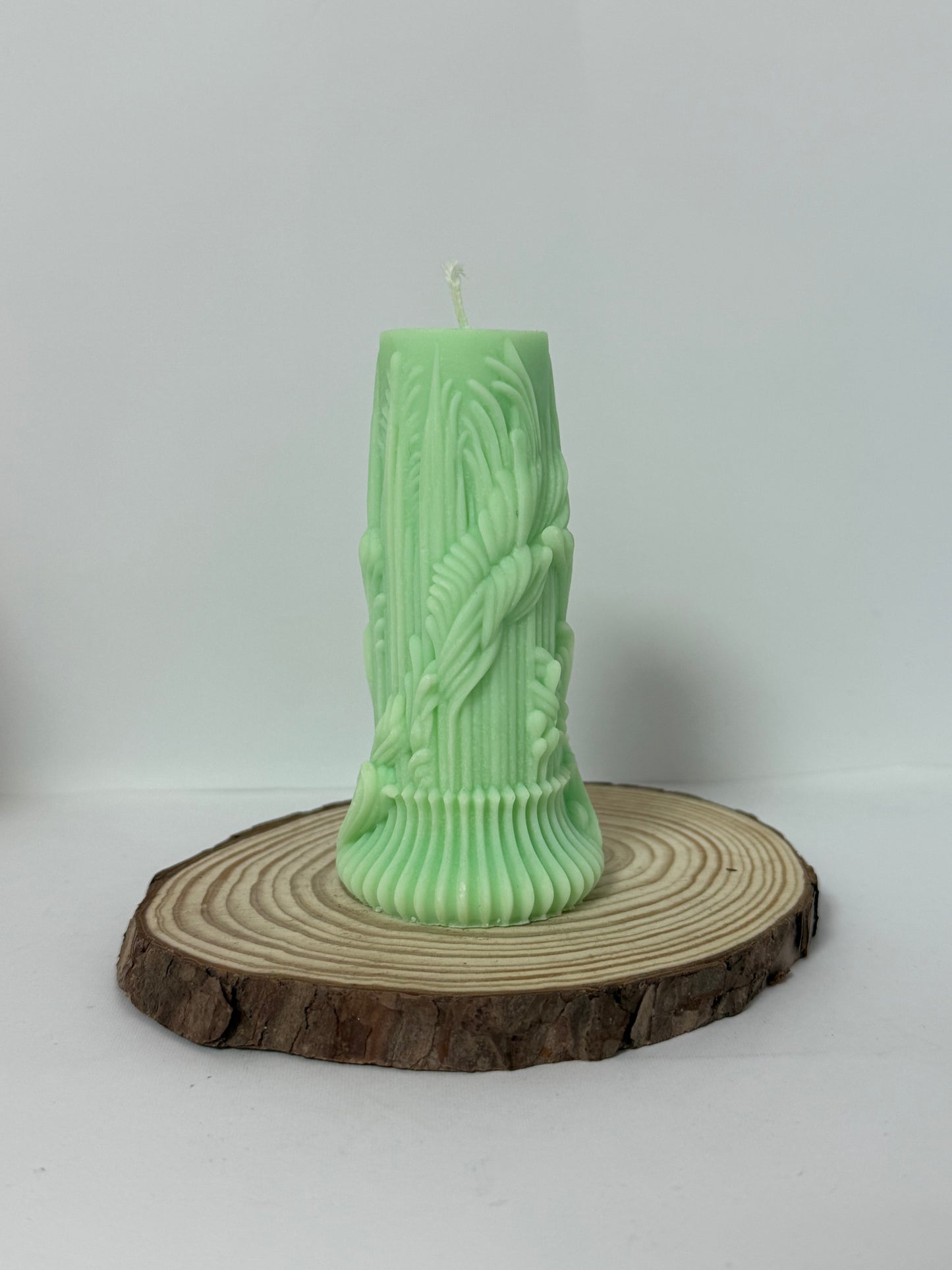 Tree Stump