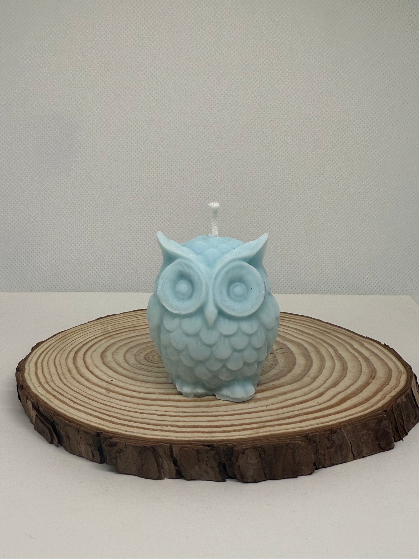 Little Owl Candle