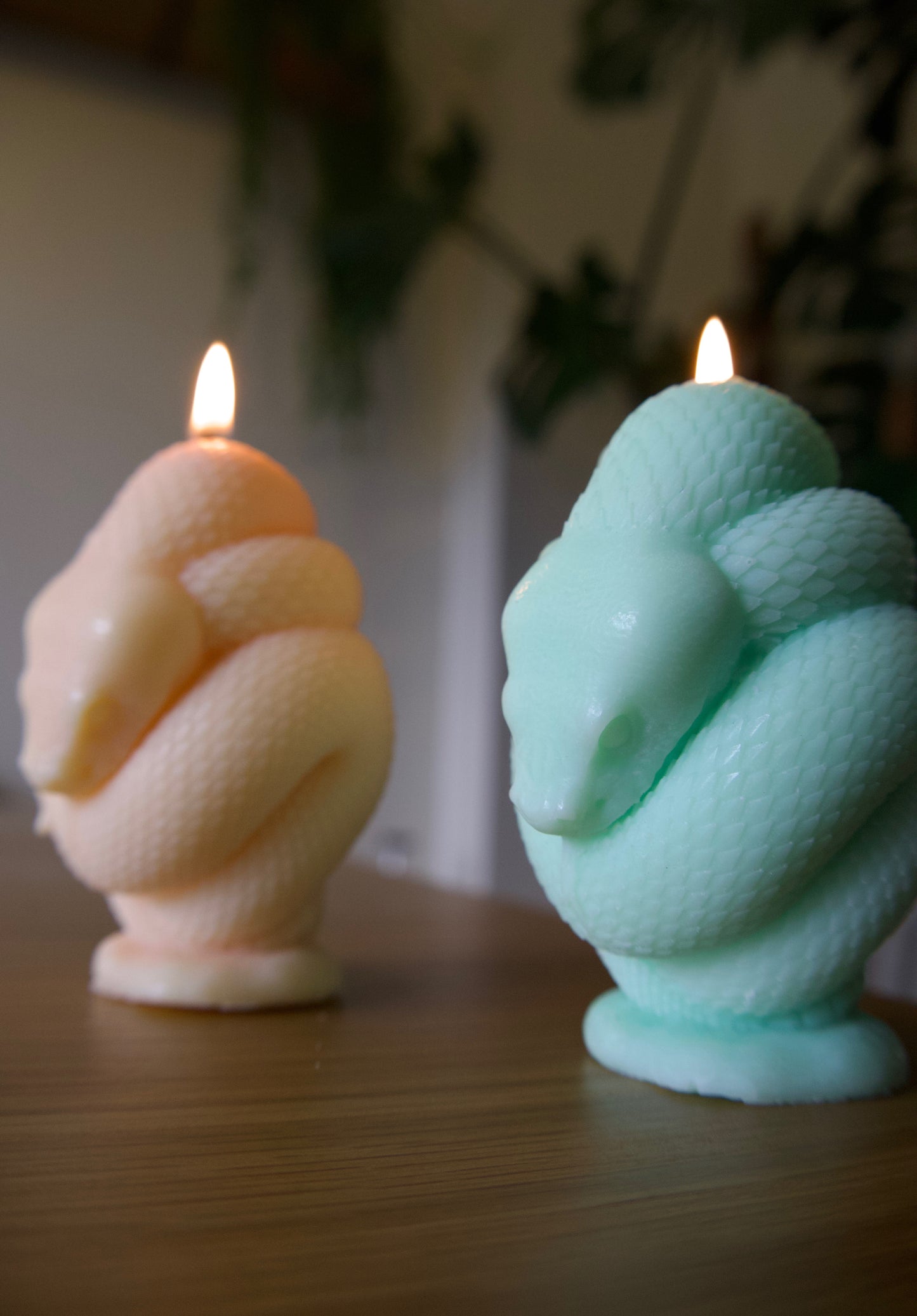 Snake Candle Candle