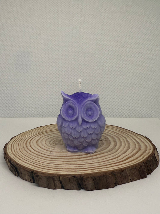 Little Owl Candle