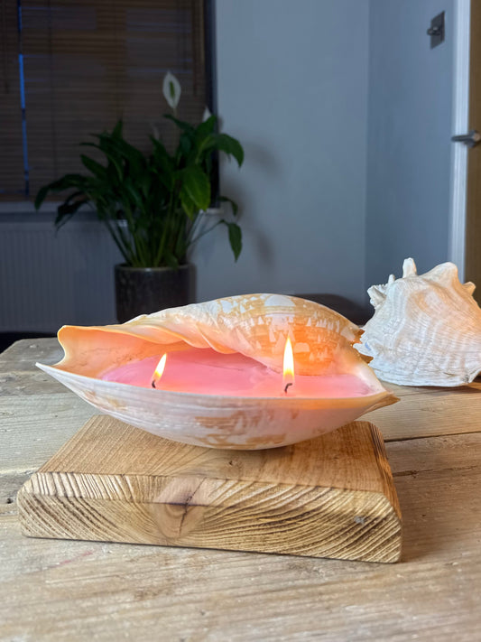 Small Real Sea Shell Candle – Ocean Inspired