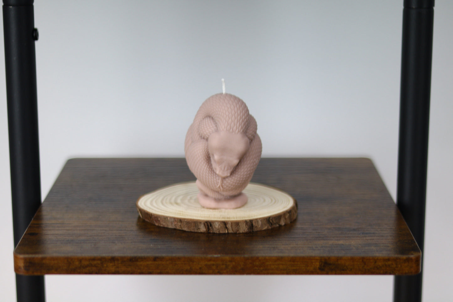 Snake Candle