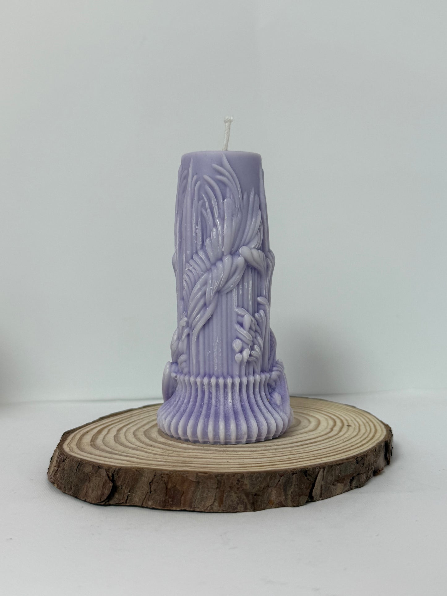 Tree Stump