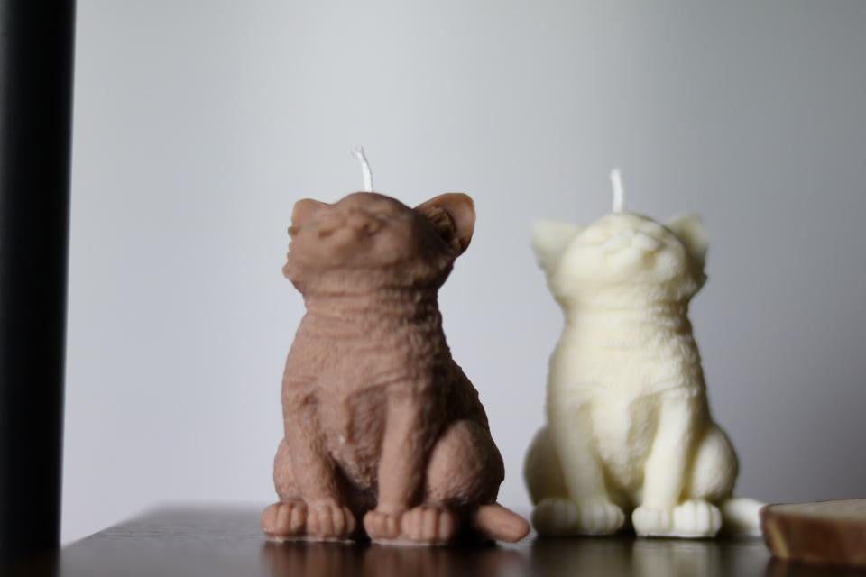 Cat Candle