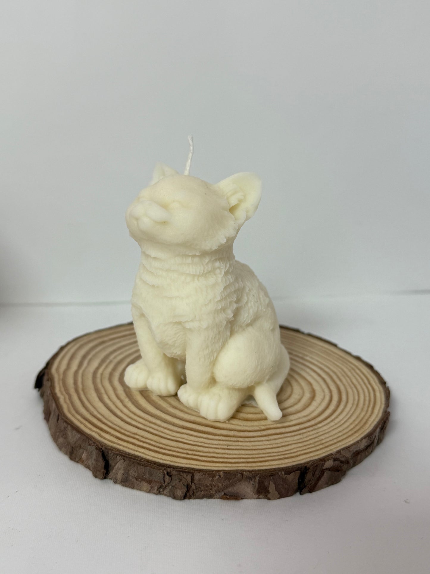 Cat Candle