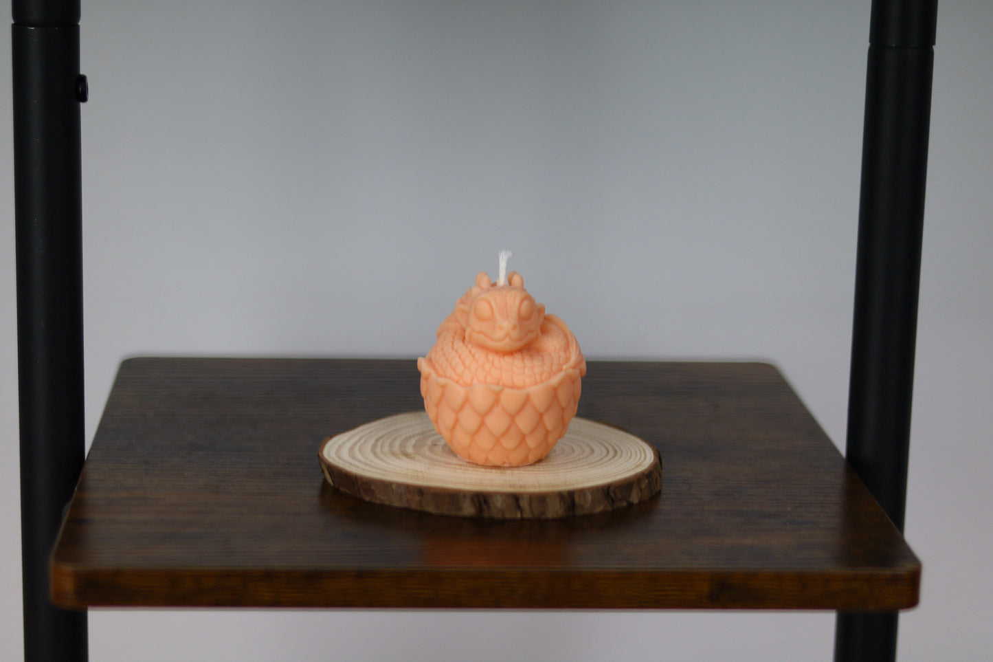 Dragon In Shell Candle
