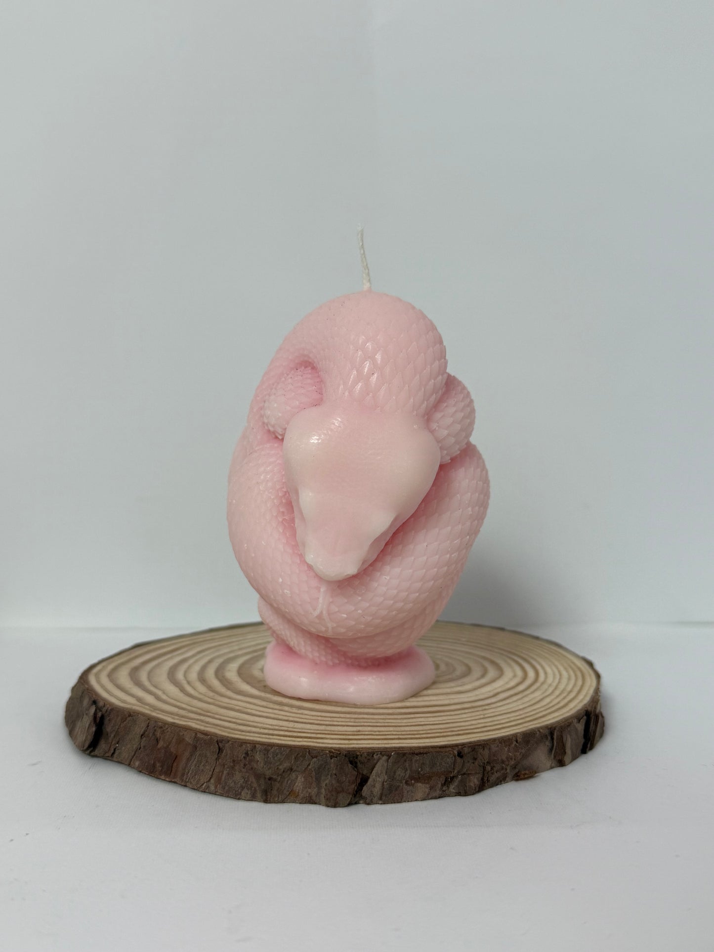 Snake Candle