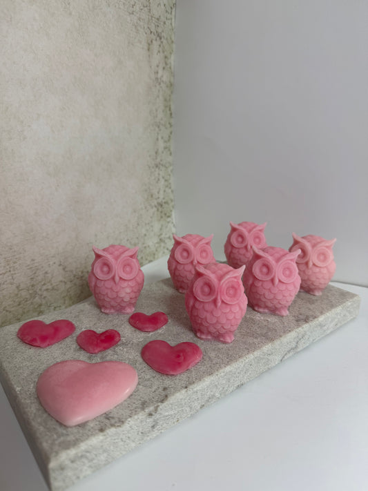 Owl Candles Wax Melts Set Of 6